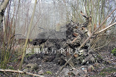 逾期后五个电话 逾期后五个电话