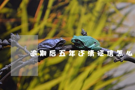 逾期后五年还清征信怎么显示 逾期后五年还清征信怎么显示