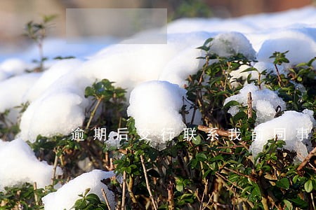 逾期后交行联系我前同事 逾期后交行联系我前同事