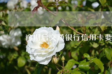 逾期后交通银行信用卡要起诉 逾期后交通银行信用卡要起诉