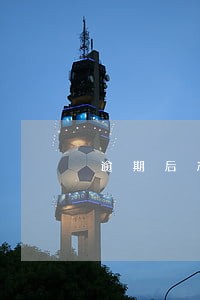 逾期后产生的担保费是 逾期后产生的担保费是