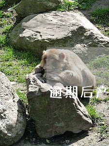 逾期后产生销户还可以贷到 逾期后产生销户还可以贷到