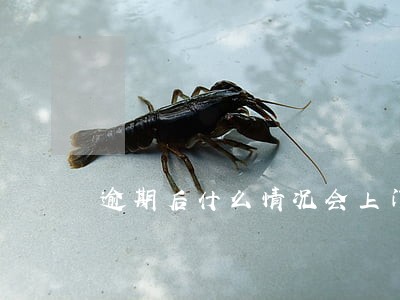 逾期后什么情况会上门 逾期后什么情况会上门