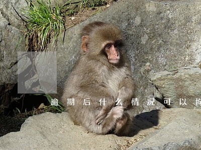 逾期后什么情况可以拘留 逾期后什么情况可以拘留