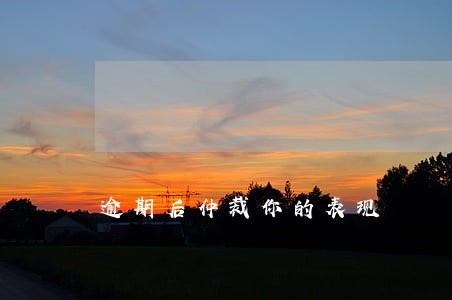 逾期后仲裁你的表现
