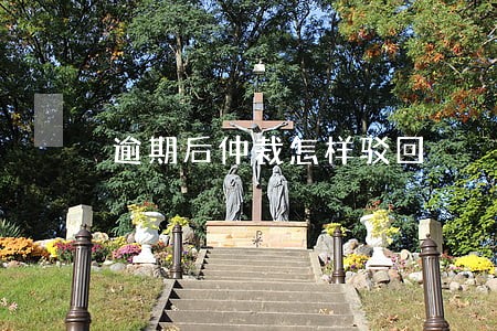 逾期后仲裁怎样驳回 逾期后仲裁怎样驳回