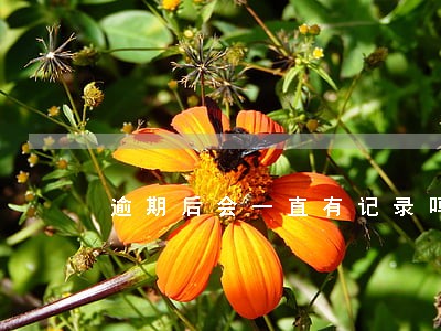 逾期后会一直有记录吗 逾期后会一直有记录吗