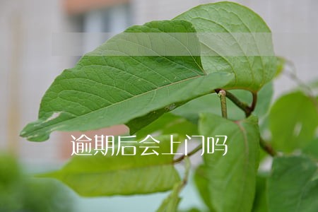 逾期后会上门吗 逾期后会上门吗