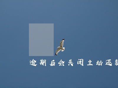 逾期后会关闭主动还款功能吗 逾期后会关闭主动还款功能吗