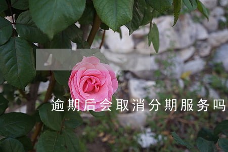 逾期后会取消分期服务吗 逾期后会取消分期服务吗