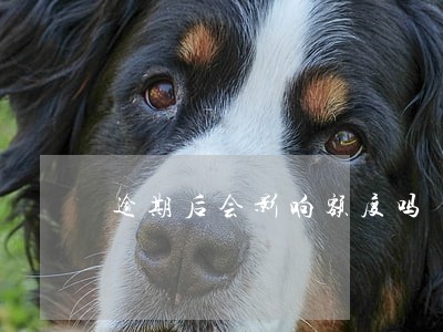 逾期后会影响额度吗 逾期后会影响额度吗