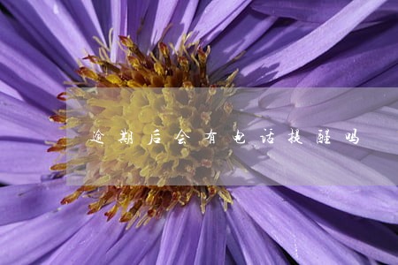 逾期后会有电话提醒吗 逾期后会有电话提醒吗