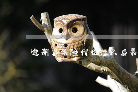 逾期后保险代偿什么后果 逾期后保险代偿什么后果