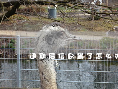 逾期后信息黑了怎么办 逾期后信息黑了怎么办