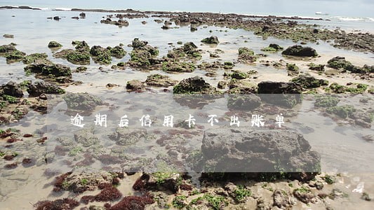 逾期后信用卡不出账单 逾期后信用卡不出账单