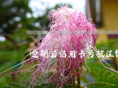 逾期后信用卡号被注销 逾期后信用卡号被注销