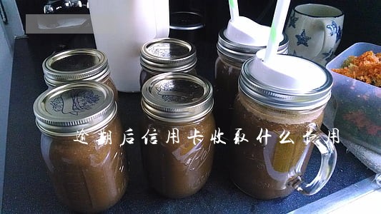 逾期后信用卡收取什么费用 逾期后信用卡收取什么费用