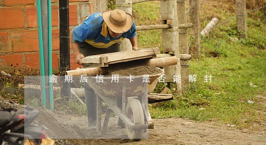 逾期后信用卡是否能解封 逾期后信用卡是否能解封