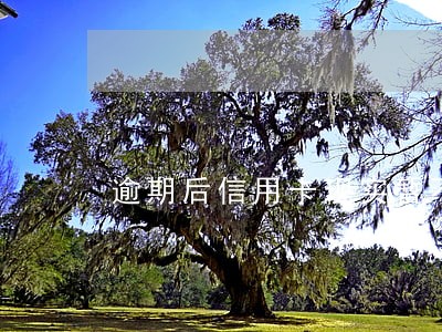 逾期后信用卡现实暂不可用