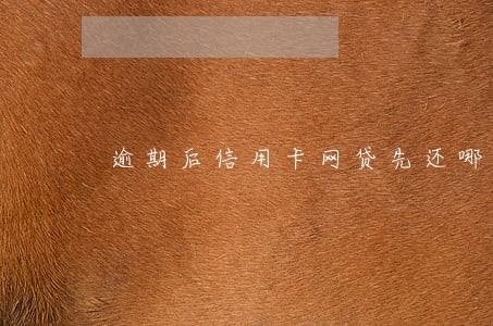 逾期后信用卡网贷先还哪个好 逾期后信用卡网贷先还哪个好