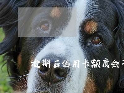 逾期后信用卡额度会不会清零 逾期后信用卡额度会不会清零