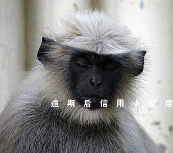 逾期后信用卡额度变低 逾期后信用卡额度变低