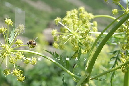逾期后信用多久 逾期后信用多久
