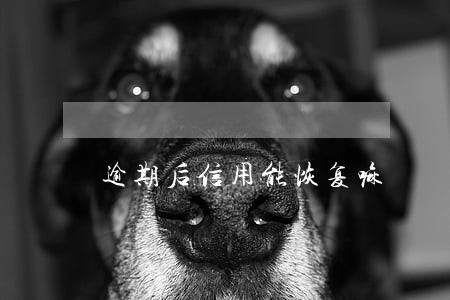逾期后信用能恢复嘛 逾期后信用能恢复嘛