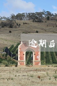 逾期后信用贷 逾期后信用贷