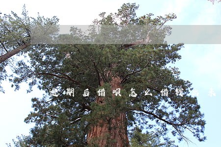 逾期后借呗怎么借钱出来 逾期后借呗怎么借钱出来