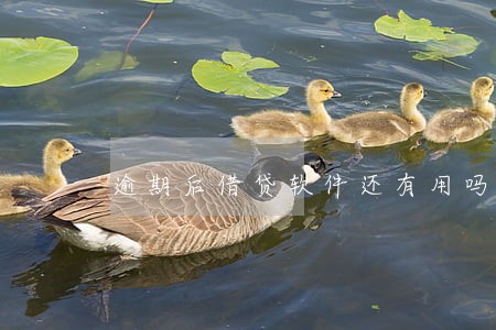 逾期后借贷软件还有用吗 逾期后借贷软件还有用吗