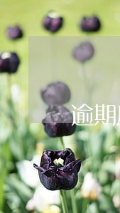 逾期后借钱平台哪个靠谱 逾期后借钱平台哪个靠谱