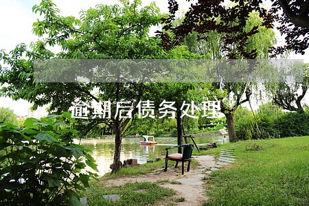 逾期后债务处理 逾期后债务处理