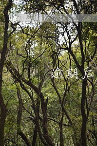 逾期后做了账单分期吗 逾期后做了账单分期吗