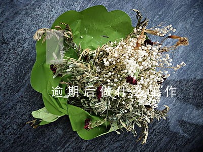 逾期后做什么工作 逾期后做什么工作