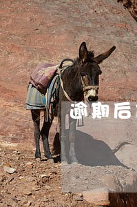 逾期后做报告 逾期后做报告