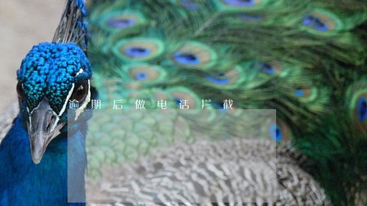 逾期后做电话拦截