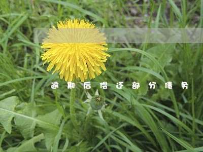 逾期后偿还部分债务 逾期后偿还部分债务