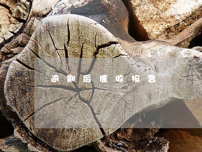 逾期后催收报告