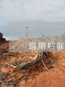 逾期后催收电话要不要接 逾期后催收电话要不要接