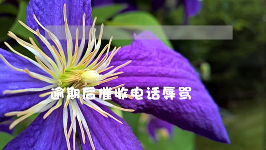 逾期后催收电话辱骂 逾期后催收电话辱骂