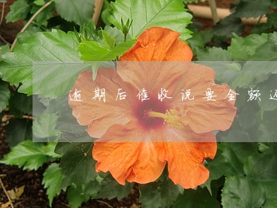 逾期后催收说要全额还账单 逾期后催收说要全额还账单
