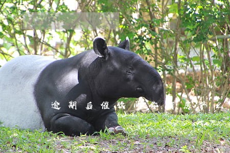 逾期后催收问你有房产么 逾期后催收问你有房产么