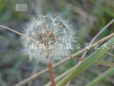 逾期后催款公司会天天打电话吗 逾期后催款公司会天天打电话吗