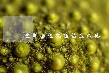 逾期后催款电话怎么接 逾期后催款电话怎么接
