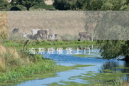 逾期后催贷上门 逾期后催贷上门