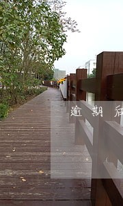 逾期后先还网贷还是信用卡 逾期后先还网贷还是信用卡