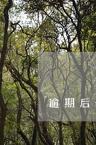 逾期后全款怎么办 逾期后全款怎么办