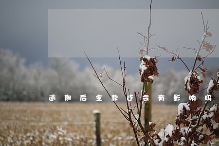 逾期后全款还会有影响吗