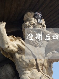 逾期后公积金拿得出来吗 逾期后公积金拿得出来吗